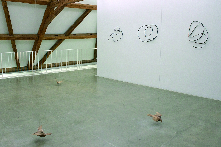 Ausstellungsansicht, Julia Steiner, Regionale 21, Kunst Raum Riehen, 2020/2021. Photo: Claudio Cassano