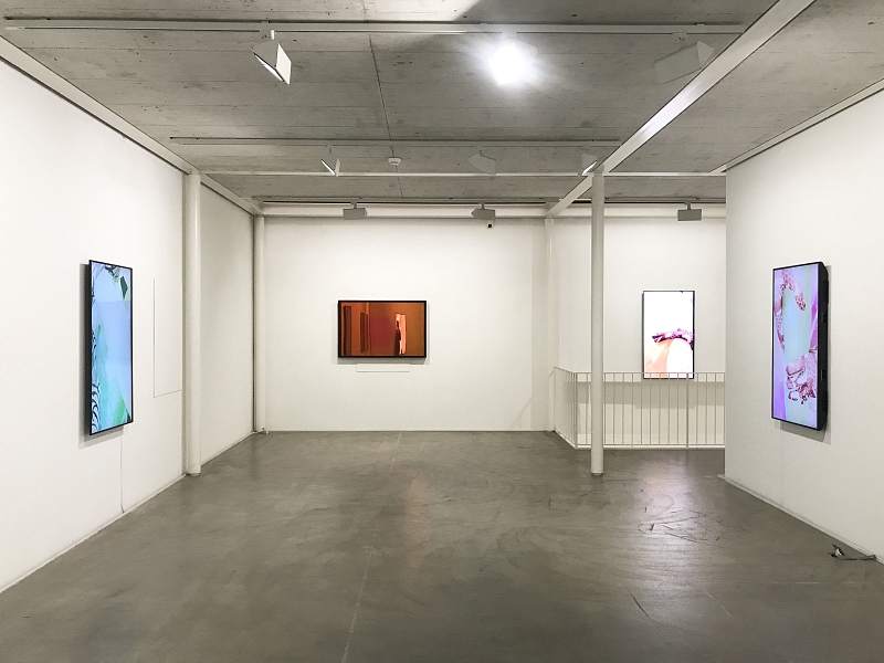 Ausstellungsansicht, Louisa Clement, Language of realities, Kunst Raum Riehen, 2018